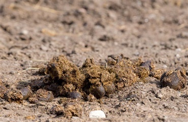 Nu skal du tage g&oslash;dningspr&oslash;ver