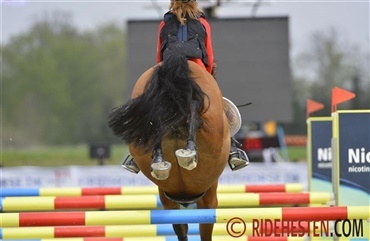 Springsamling for pony- children- og juniorryttere