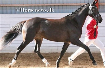 Eksteri&oslash;rk&aring;ring i Ringsted