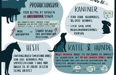 Dyrl&aelig;ger indkalder til demonstration mod EU-regler