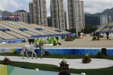 Alle springheste gennem vet. check