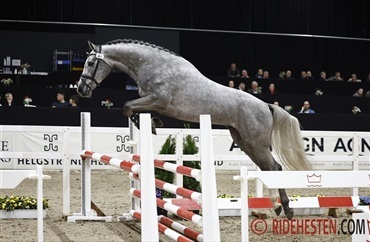 F&oslash;rste l&oslash;sspringningsdag i Herning