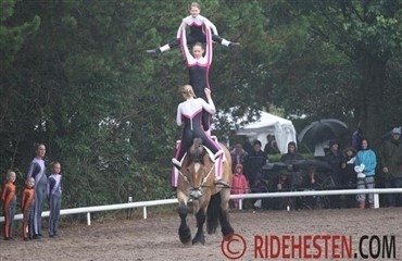 Vellykket TIKA Hestival