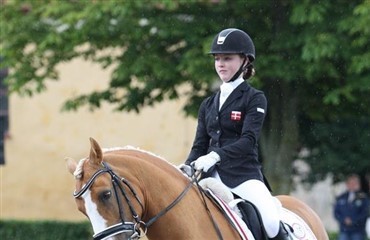 &AElig;v: Lige ved og n&aelig;sten for ponypigerne