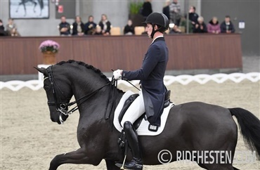 To clinics  p&aring; Kirstineholm Ridecenter