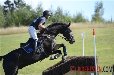 Flarup i top i Strzegom