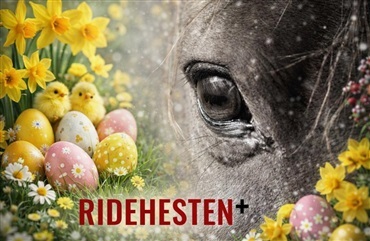 Giv et p&aring;ske&aelig;g med sp&aelig;ndende indhold