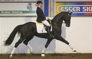 Berider Jane Svanekj&aelig;r til Stald Juul