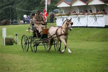 Chance for revanche p&aring; Dorthealyst