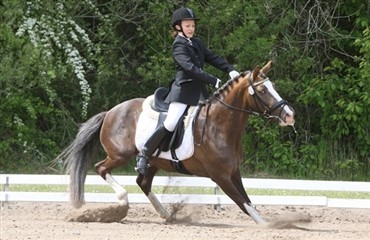 Vidste du at du smitter hesten med din nerv&oslash;sitet?