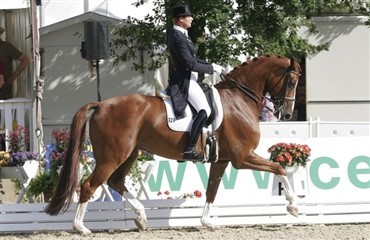 Kürsejr til Salzgeber