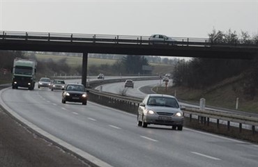 Hest trafikdr&aelig;bt ved Kalundborg