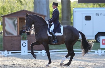 Positive overraskelser ved DM i dressur