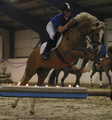 Aalborg Horseshow 2009