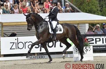 To potentielle verdensheste i finalen