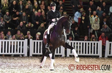 Imponerende hingsteshow hos Helgstrand
