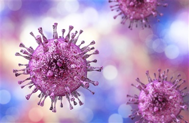 Herpesvirus 1-udbrud p&aring; Sj&aelig;lland