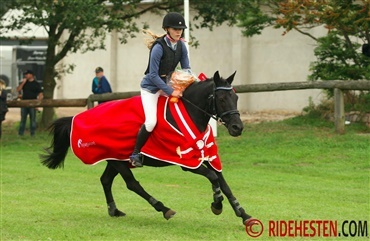 Nye regler for Danmarks Cup