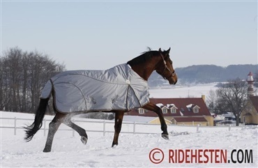 Har min hest det for varmt eller for koldt?