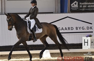 Debut-sejr til Helgstrand i Aalborg