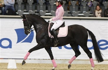 Tailormade Horses st&oslash;tter ikke bare brysterne