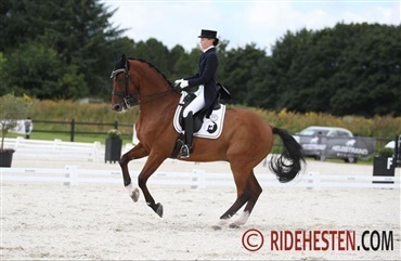 Dansk dressur i Holland