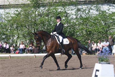 Skal du til Mors&oslash;?