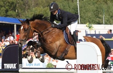 Nyt babyboom i ridesporten