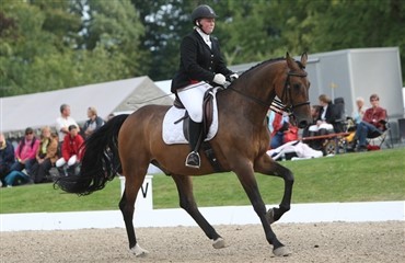 De danske handicapryttere bringer flotte resultater til Danmark