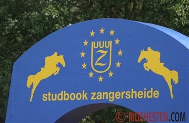 Intet partnerskab mellem Z og BWP