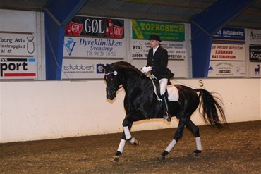 Hingsteshow Nord 