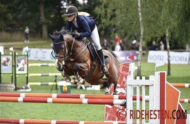 Hiller&oslash;d i front af pony DM