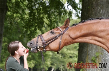 7 ting som nye hestefolk burde advares om 