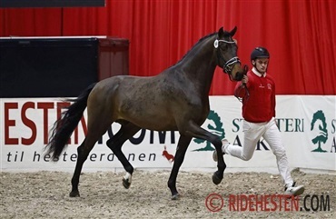 – Nu gl&aelig;der vi os til at se dem i funktion