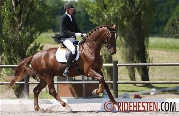 Lars Ringkj&aelig;r til Hjallerup Rideklub