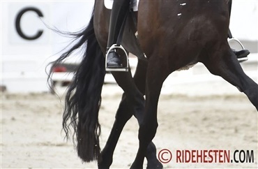 Ny model for konkurrenceregistrering