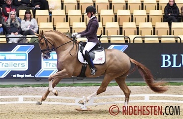 Sp&aelig;ndende start p&aring; dressurchampionatet