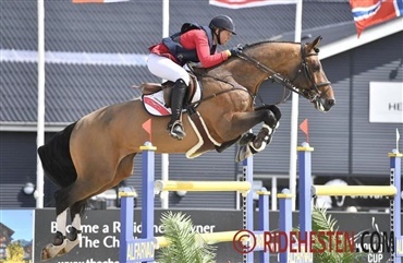 Flot dansk afslutning hos Absolute Horses