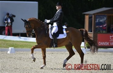 Danskerne 3, 5 og 8 i Hickstead