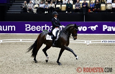 Internationale starter - uge 51