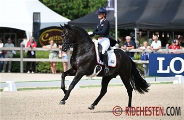 N&aelig;ste tophest efter Zonik er p&aring; vej