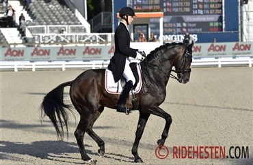 Daniel Bachmann Andersen - Ponyfar & Danmarksmester