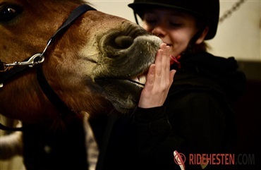 Nu &aring;bner DIF og DGI's foreningspulje