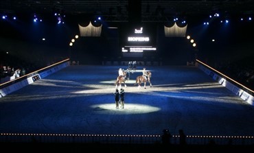 Kataloget til hingstek&aring;ringen i Herning