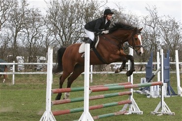 Fire nye klubmestre til hest