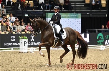 Werth og Viva Gold vinder p&aring; dansk grund