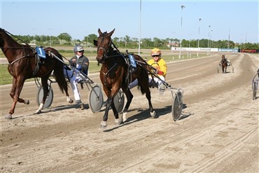 Uenighed p&aring; travbanen