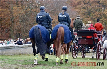 Har du K&oslash;benhavns Politis nye hest?