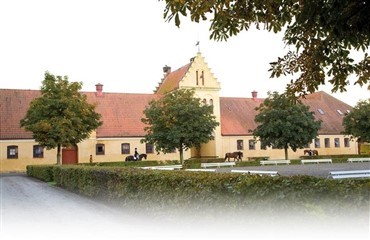 Trons&oslash;Skolen og Flyinge samarbejder