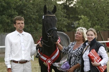 Sammenst&oslash;d p&aring; dressurbanen